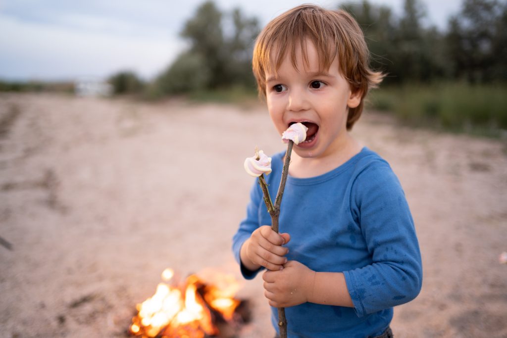 Adorable little boy roasting marshmallows on stick at bonfire. Child having fun at camp fire. Camping with children in sea beach. Family leisure with kids at autumn. fun family time concept.