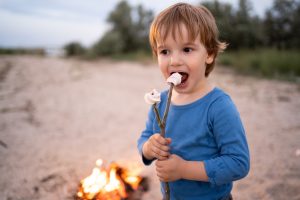 Adorable little boy roasting marshmallows on stick at bonfire. Child having fun at camp fire. Camping with children in sea beach. Family leisure with kids at autumn. fun family time concept.